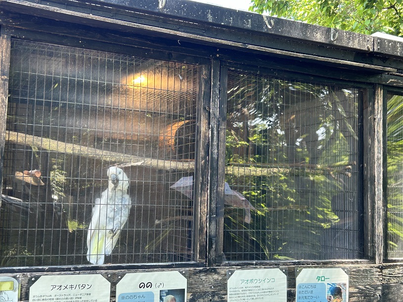 画像3