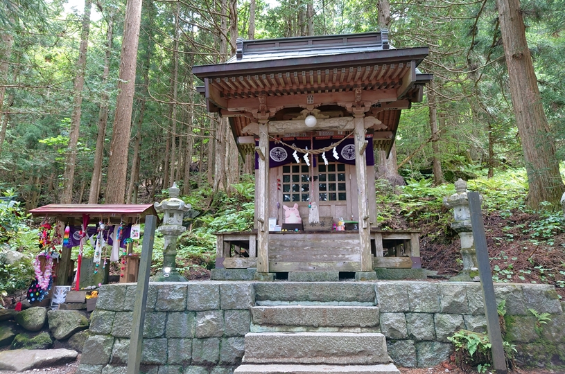 画像5