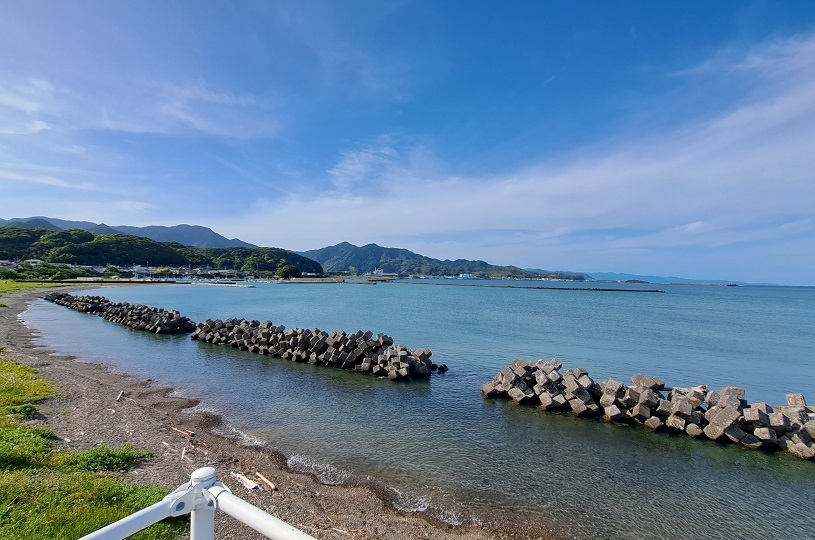 画像4