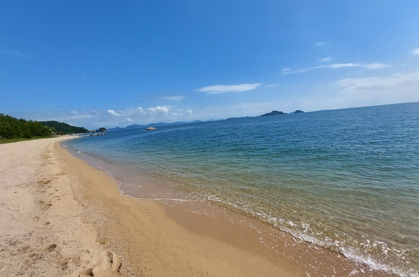 画像2