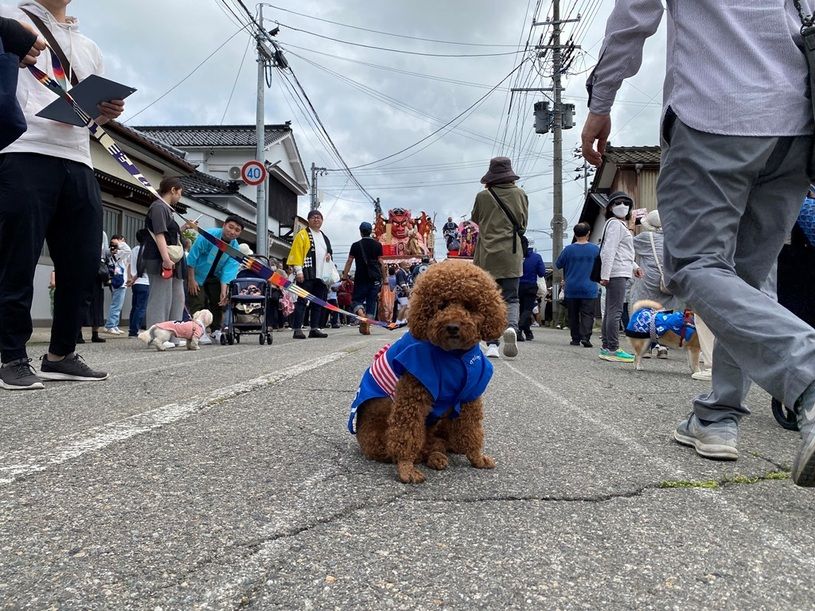 画像3