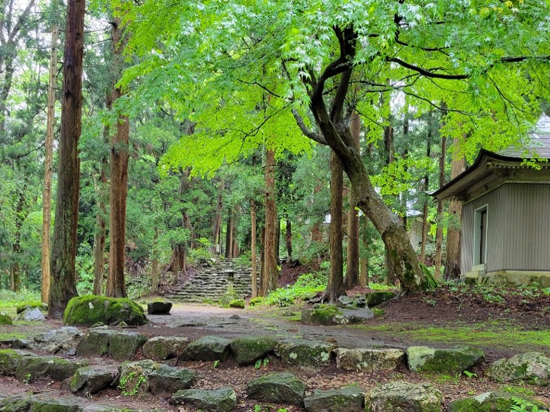 画像4