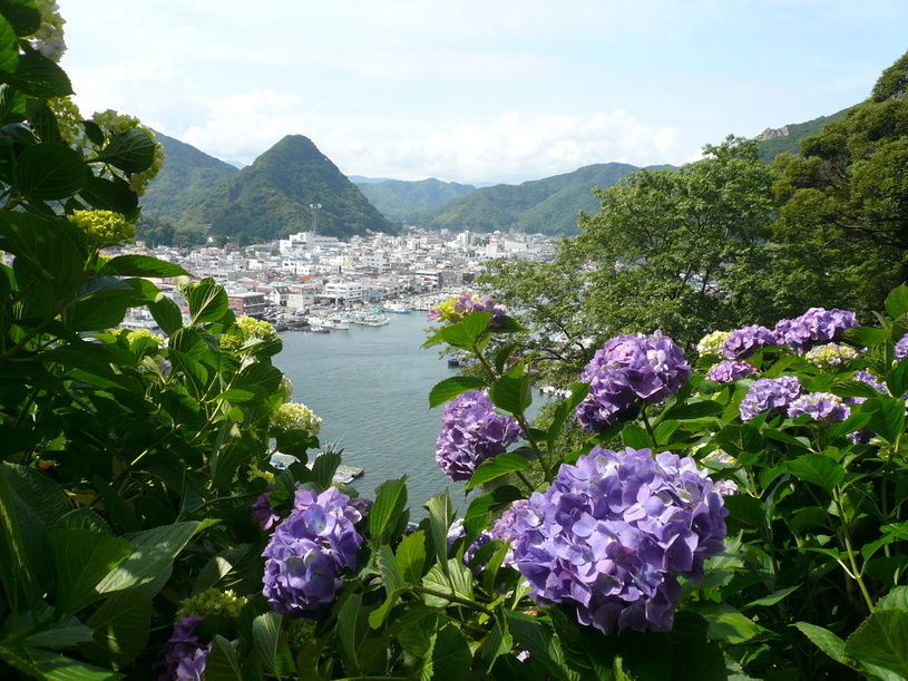 画像2