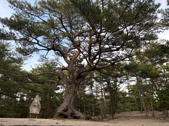 画像3