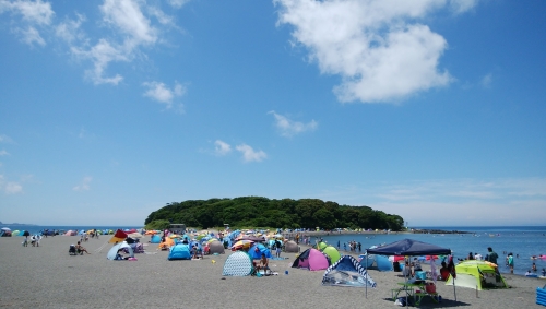 画像1