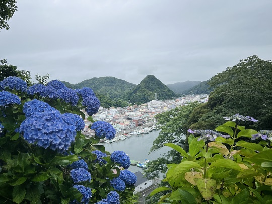 画像2