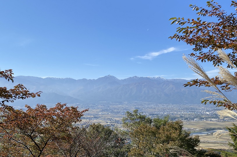 画像1