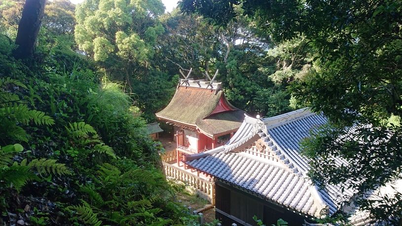 画像2