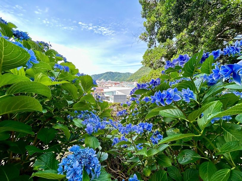 画像2