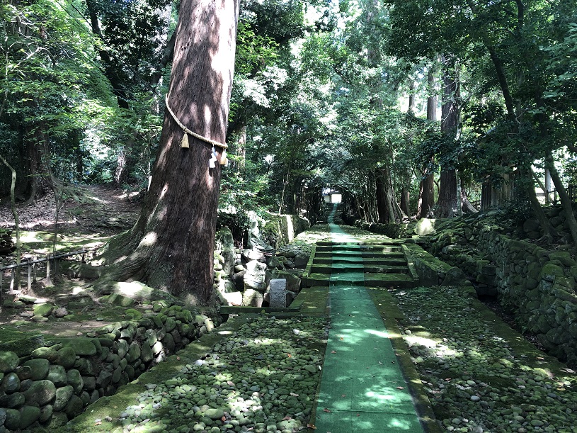 画像2