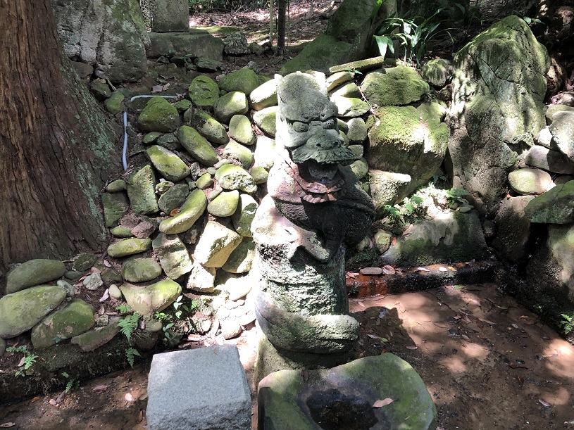 画像4