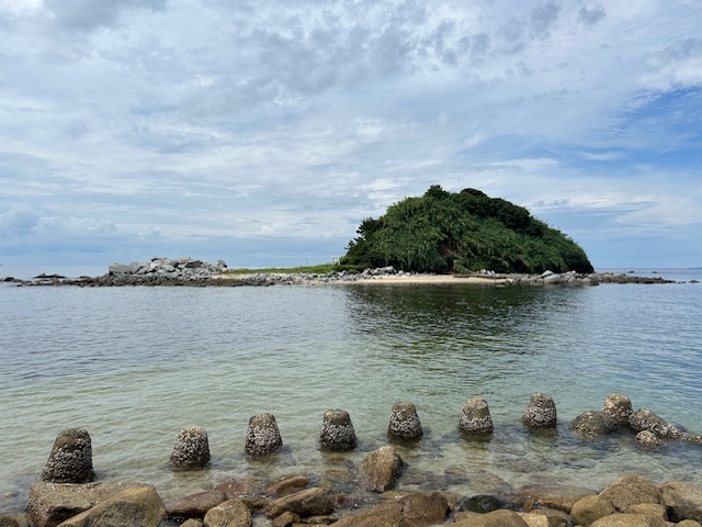 画像4