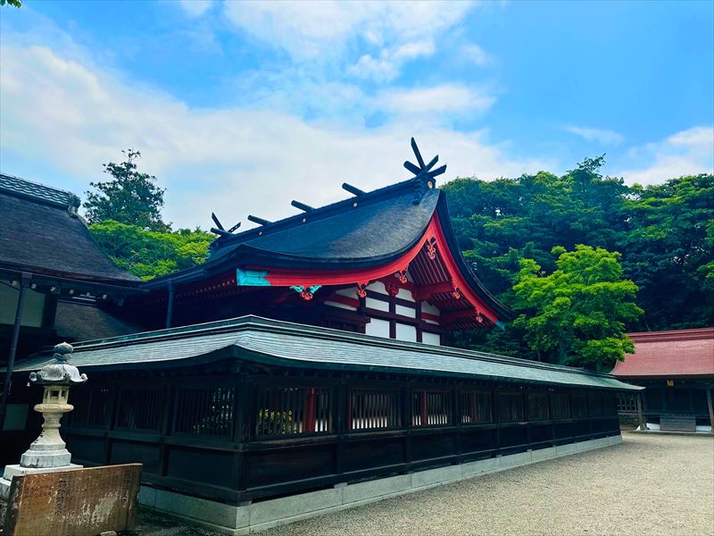 画像4