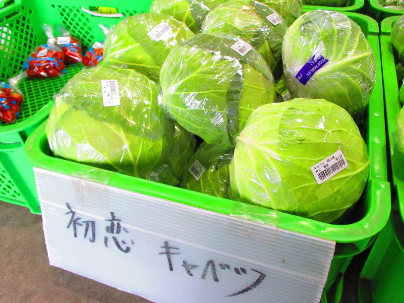 画像3