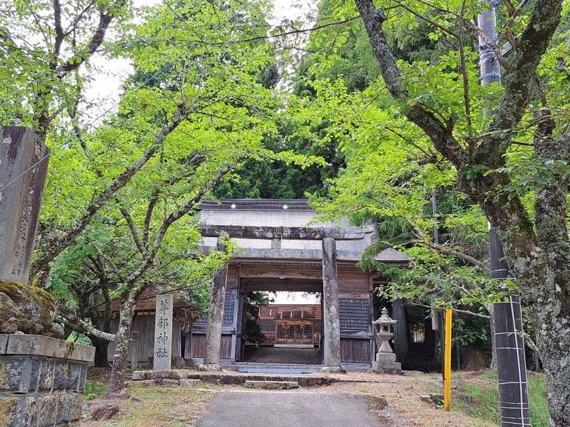 画像1