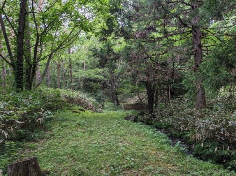 画像5