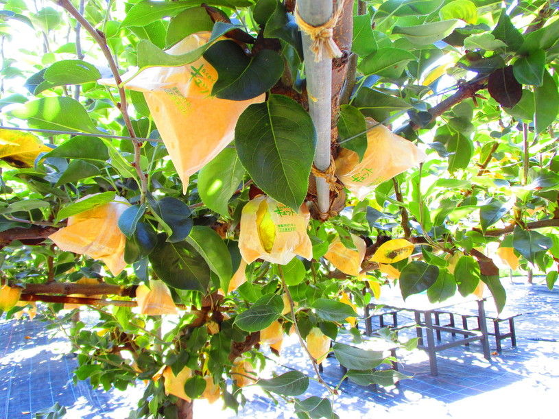 画像2
