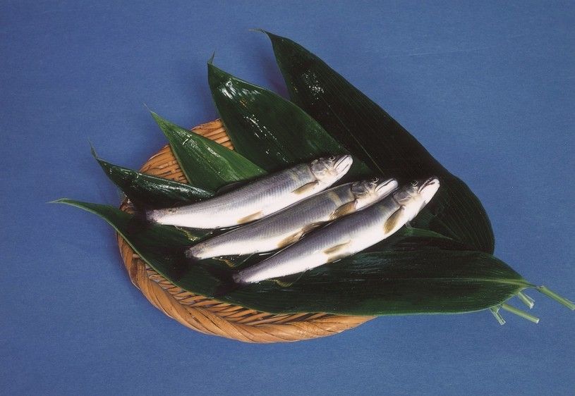画像1