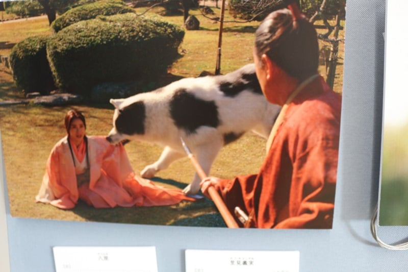 画像4