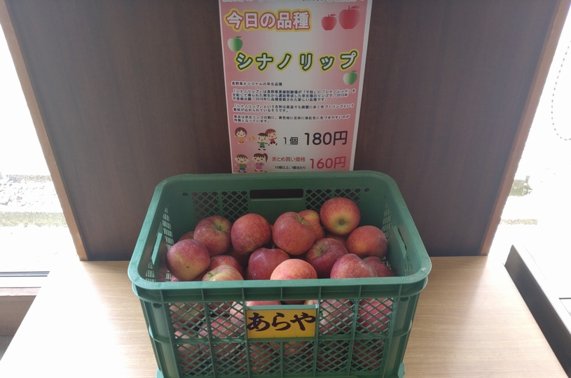 画像1