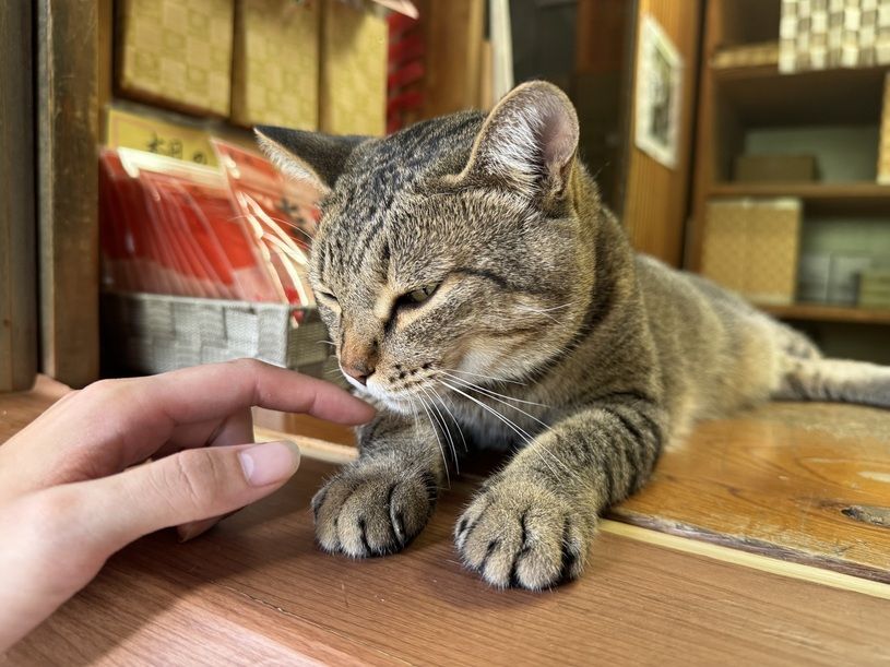 画像5
