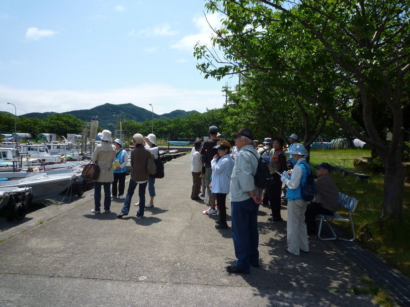 画像5