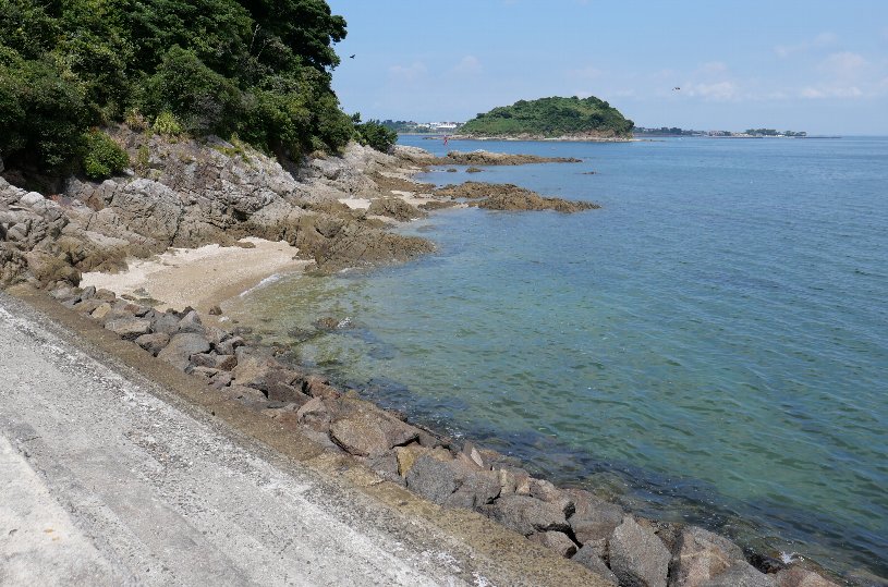 画像2