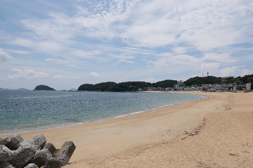 画像4