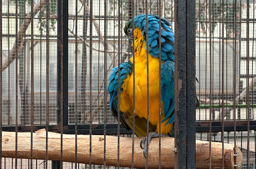 画像5