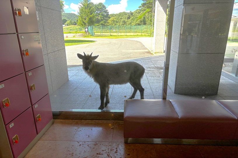画像1
