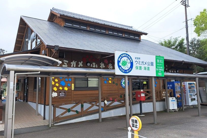 画像1