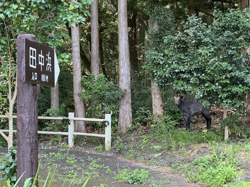 画像2
