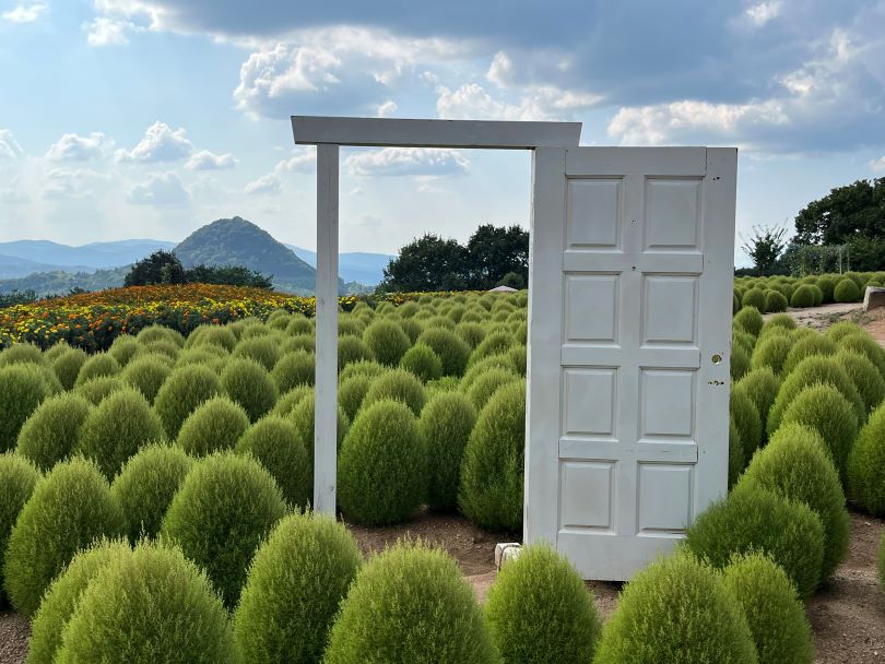 画像5