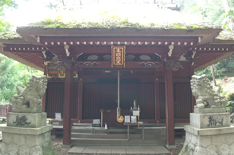 画像1