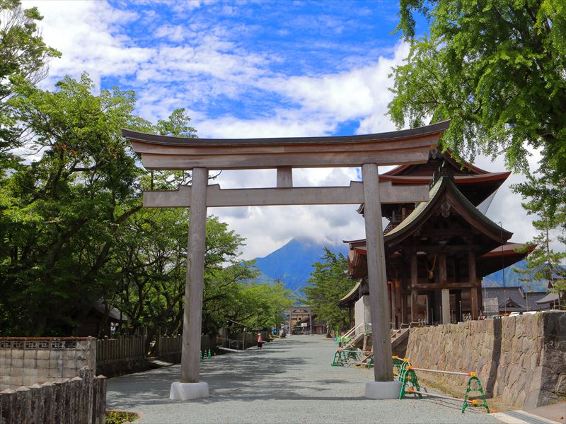 画像4