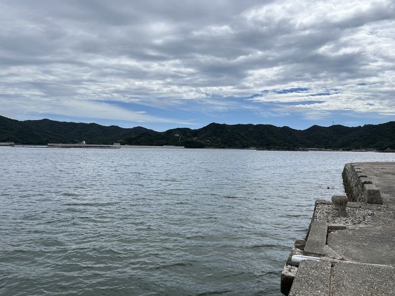 画像2