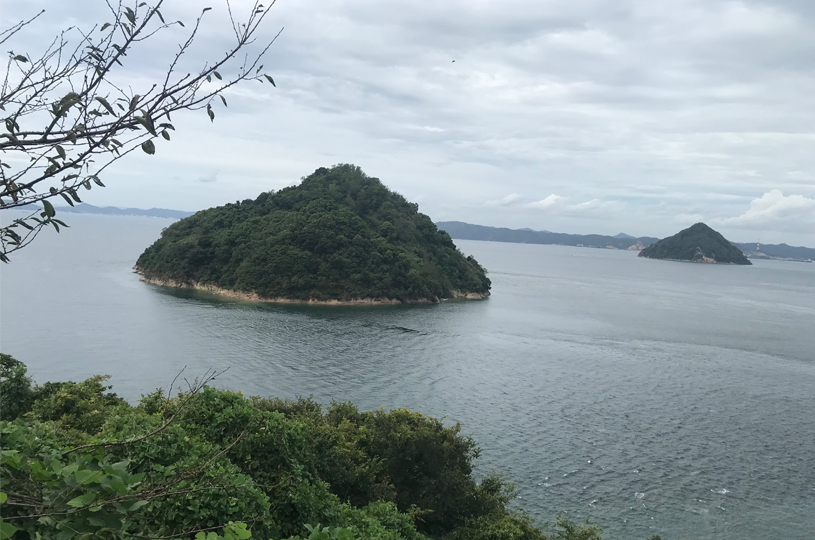 画像4