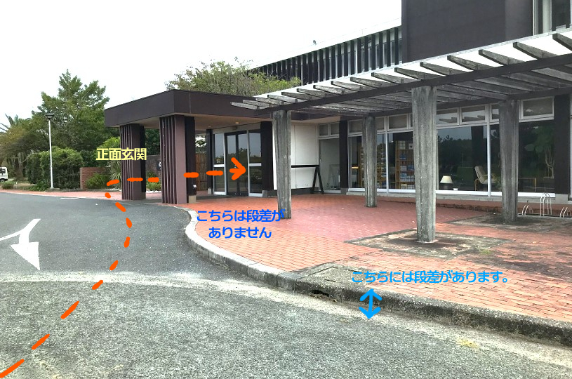 画像4