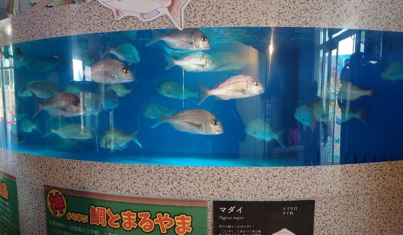 画像2
