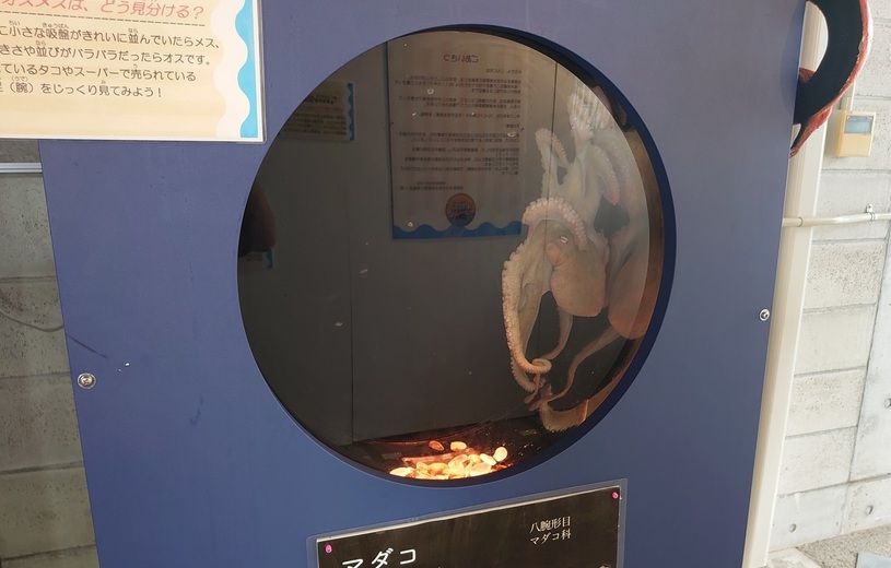 画像3
