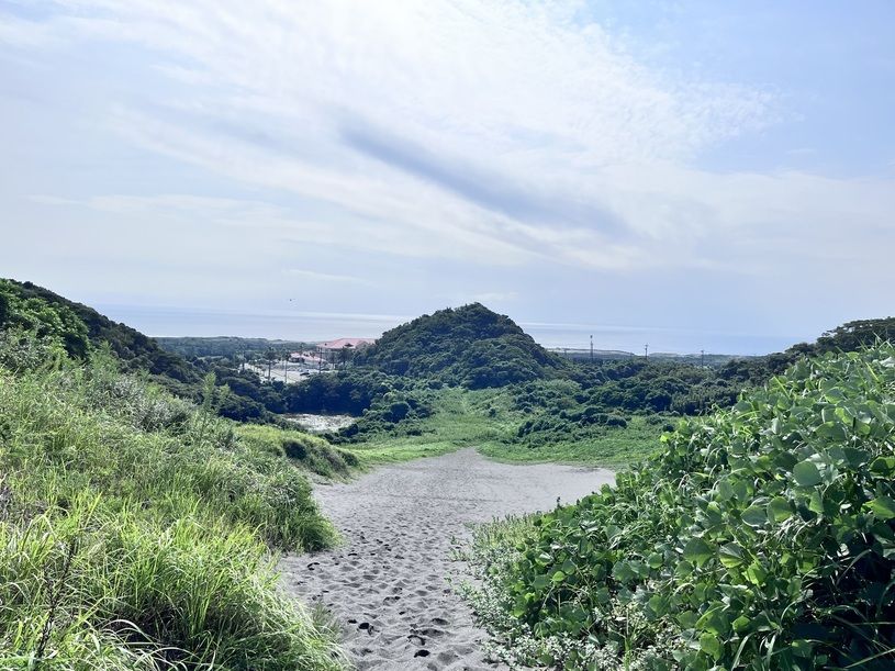 画像3