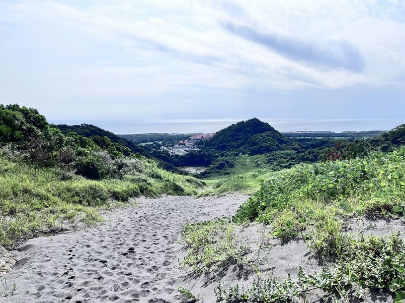画像4