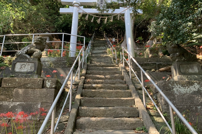画像2
