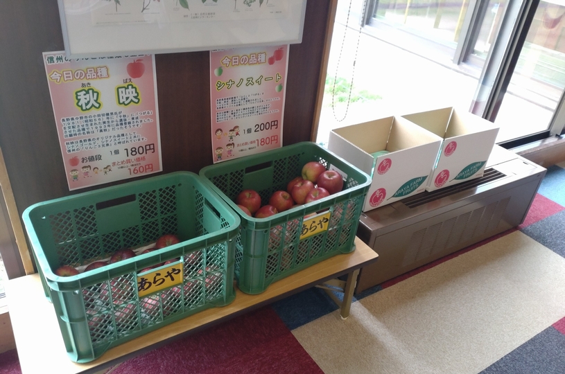 画像1