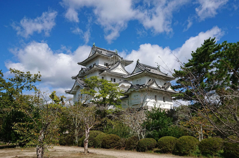 画像1