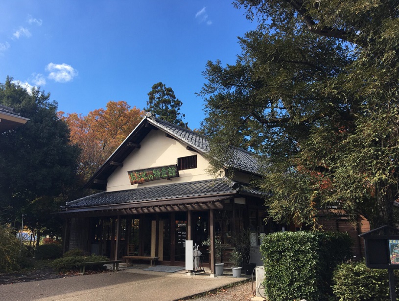 画像1
