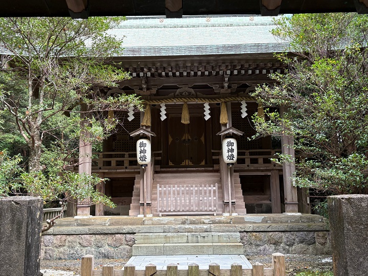 画像4
