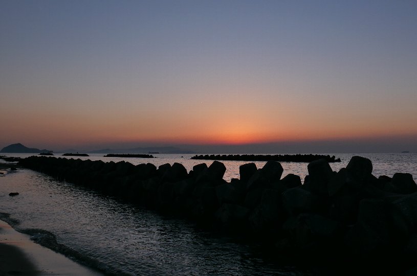 画像4