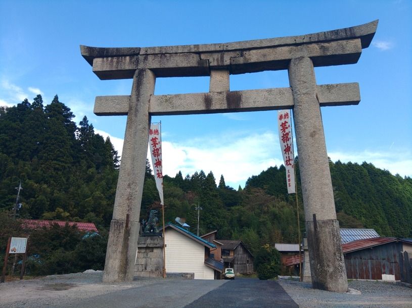 画像5