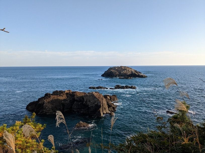 画像4